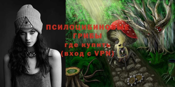 спайс Дмитриев