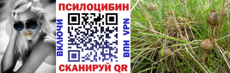 Галлюциногенные грибы ЛСД  Купить закладки  Торжок 